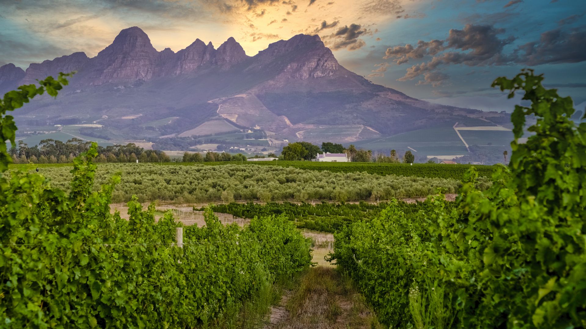 Franschhoek festői borvid&eacute;ke D&eacute;l-Afrik&aacute;ban