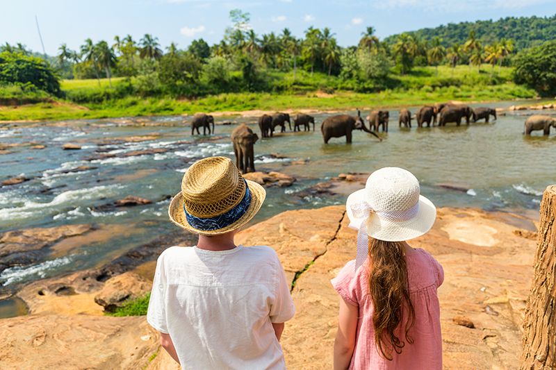Elefántok, Srí Lanka